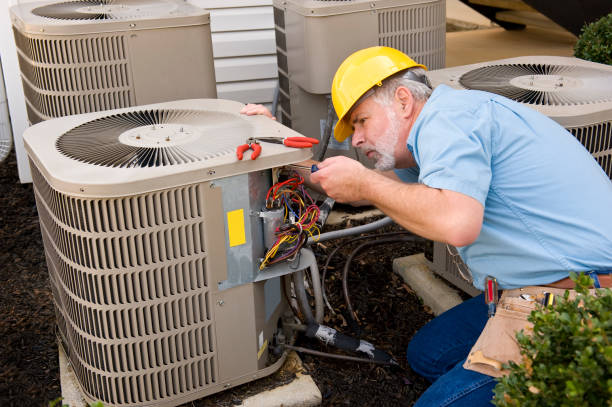 Best HVAC Cleaning Services  in North Branch, MI